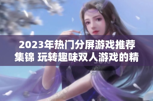 2023年熱門(mén)分屏游戲推薦集錦 玩轉(zhuǎn)趣味雙人游戲的精彩體驗(yàn)