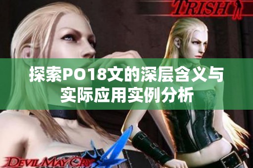 探索PO18文的深層含義與實際應(yīng)用實例分析