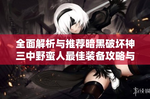 全面解析與推薦暗黑破壞神三中野蠻人最佳裝備攻略與搭配技巧