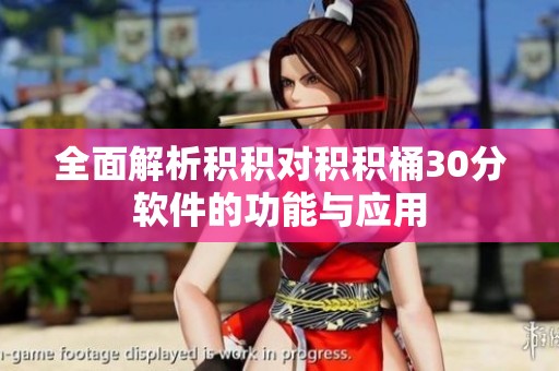 全面解析積積對積積桶30分軟件的功能與應用