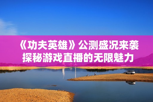 《功夫英雄》公測盛況來襲 探秘游戲直播的無限魅力與精彩瞬間