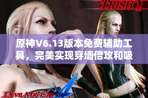 原神V6.13版本免費輔助工具，完美實現(xiàn)穿墻倍攻和吸怪功能，提升游戲體驗