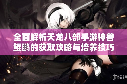 全面解析天龍八部手游神獸鯤鵬的獲取攻略與培養(yǎng)技巧詳細(xì)介紹