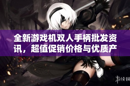 全新游戲機(jī)雙人手柄批發(fā)資訊，超值促銷價(jià)格與優(yōu)質(zhì)產(chǎn)地貨源推薦