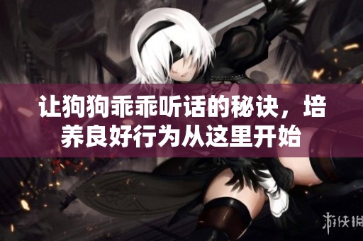 讓狗狗乖乖聽話的秘訣，培養(yǎng)良好行為從這里開始