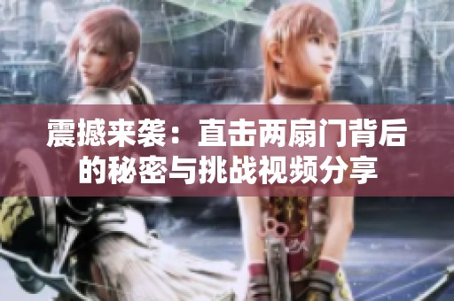 震撼來襲：直擊兩扇門背后的秘密與挑戰(zhàn)視頻分享
