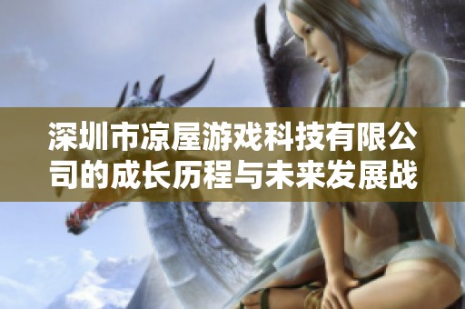 深圳市涼屋游戲科技有限公司的成長(zhǎng)歷程與未來(lái)發(fā)展戰(zhàn)略分析報(bào)告