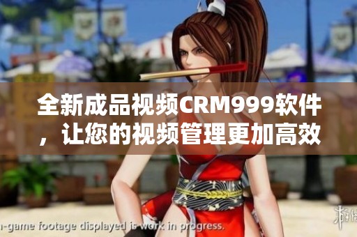 全新成品視頻CRM999軟件，讓您的視頻管理更加高效便捷