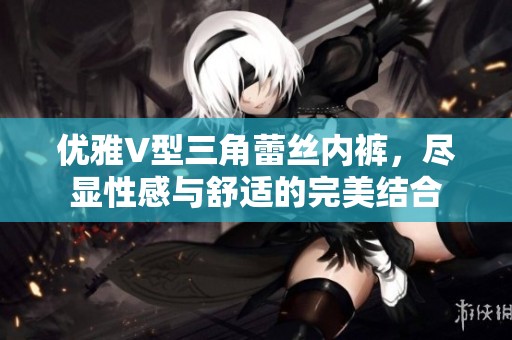 優(yōu)雅V型三角蕾絲內(nèi)褲，盡顯性感與舒適的完美結(jié)合