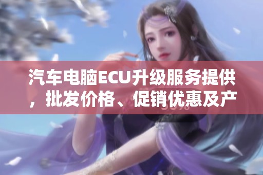 汽車電腦ECU升級服務提供，批發(fā)價格、促銷優(yōu)惠及產(chǎn)品原產(chǎn)地信息一應俱全