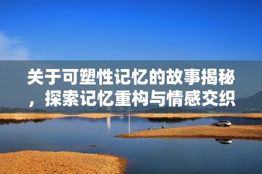 關(guān)于可塑性記憶的故事揭秘，探索記憶重構(gòu)與情感交織的奇妙旅程