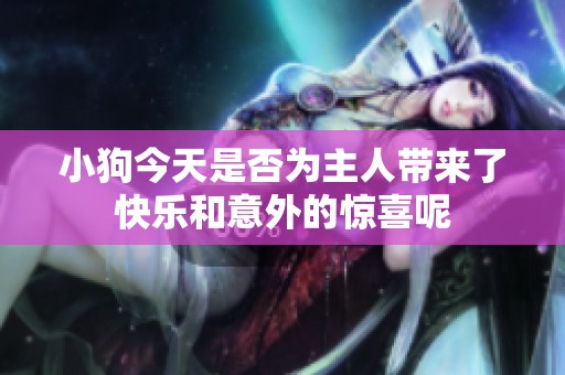 小狗今天是否為主人帶來了快樂和意外的驚喜呢