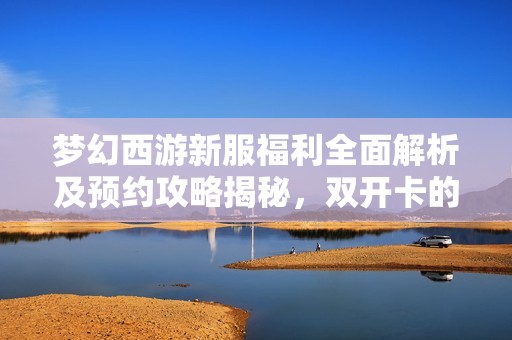 夢幻西游新服福利全面解析及預約攻略揭秘，雙開卡的真實花費是多少
