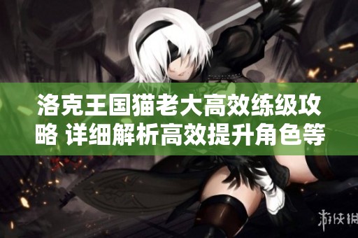 洛克王國(guó)貓老大高效練級(jí)攻略 詳細(xì)解析高效提升角色等級(jí)的技巧與路線(xiàn)