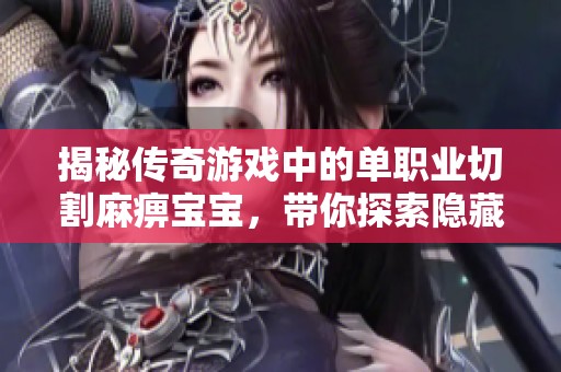 揭秘傳奇游戲中的單職業(yè)切割麻痹寶寶，帶你探索隱藏在玩法中的神秘力量與奧秘