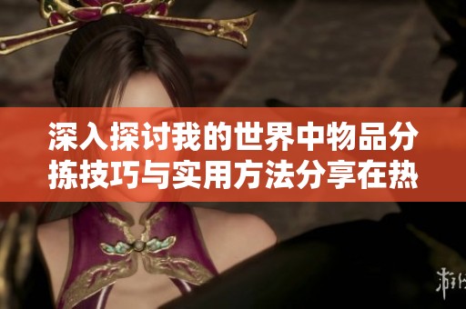 深入探討我的世界中物品分揀技巧與實用方法分享在熱浪軟件園