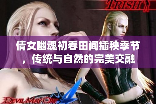 倩女幽魂初春田間插秧季節(jié)，傳統(tǒng)與自然的完美交融
