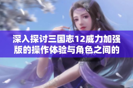 深入探討三國(guó)志12威力加強(qiáng)版的操作體驗(yàn)與角色之間的夫妻關(guān)系設(shè)定解析