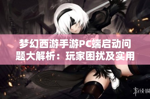 夢(mèng)幻西游手游PC端啟動(dòng)問題大解析：玩家困擾及實(shí)用解決策略分享
