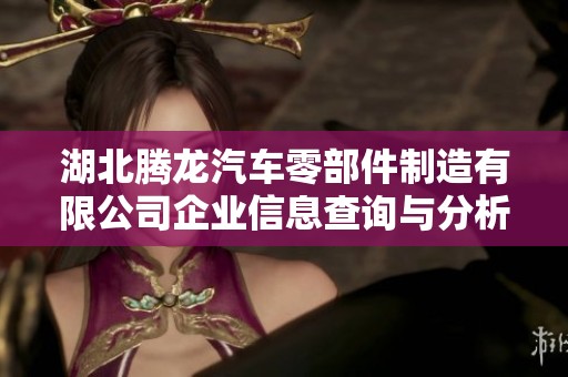 湖北騰龍汽車零部件制造有限公司企業(yè)信息查詢與分析數(shù)據(jù)專項(xiàng)報(bào)告