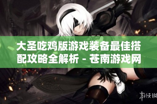 大圣吃雞版游戲裝備最佳搭配攻略全解析 - 蒼南游戲網(wǎng)