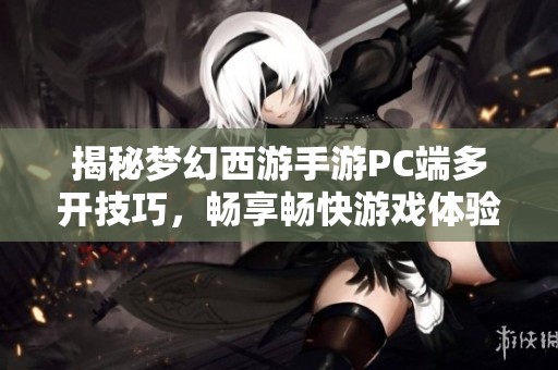 揭秘夢(mèng)幻西游手游PC端多開技巧，暢享暢快游戲體驗(yàn)的方法