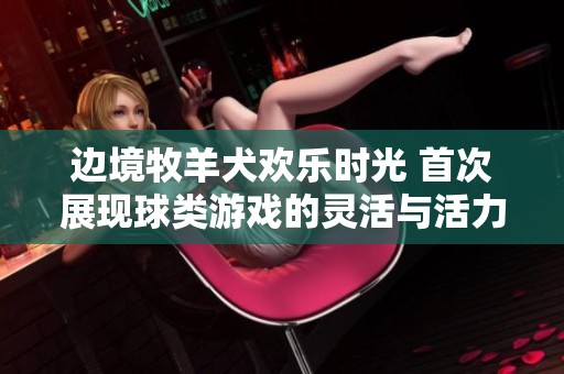 邊境牧羊犬歡樂時光 首次展現(xiàn)球類游戲的靈活與活力