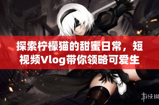 探索檸檬貓的甜蜜日常，短視頻Vlog帶你領(lǐng)略可愛生活