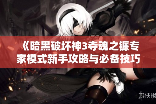 《暗黑破壞神3奪魂之鐮專家模式新手攻略與必備技巧分享》