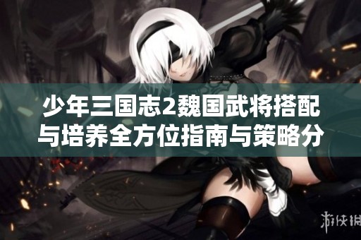 少年三國志2魏國武將搭配與培養(yǎng)全方位指南與策略分析