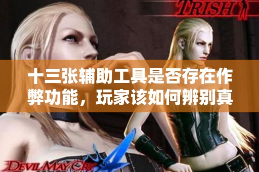 十三張輔助工具是否存在作弊功能，玩家該如何辨別真?zhèn)? title=