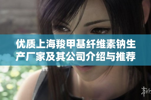 優(yōu)質(zhì)上海羧甲基纖維素鈉生產(chǎn)廠家及其公司介紹與推薦