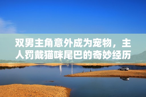 雙男主角意外成為寵物，主人罰戴貓咪尾巴的奇妙經(jīng)歷