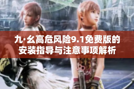 九·幺高危風(fēng)險9.1免費版的安裝指導(dǎo)與注意事項解析