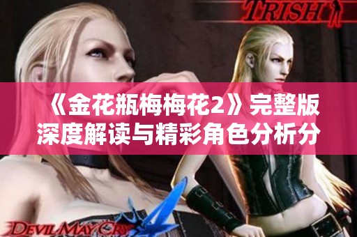 《金花瓶梅梅花2》完整版深度解讀與精彩角色分析分享