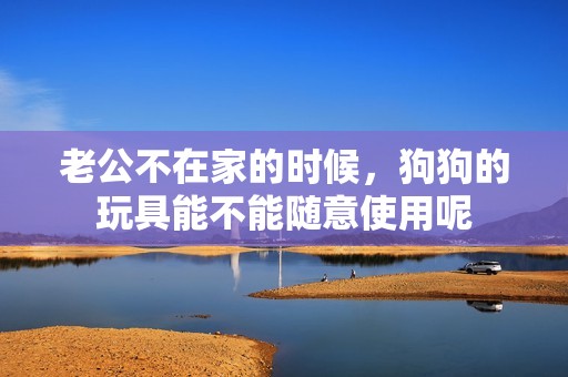 老公不在家的時候，狗狗的玩具能不能隨意使用呢