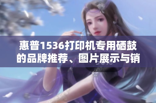 惠普1536打印機(jī)專用硒鼓的品牌推薦、圖片展示與銷量排行分析