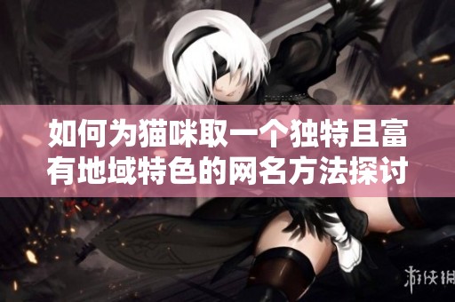 如何為貓咪取一個獨特且富有地域特色的網(wǎng)名方法探討