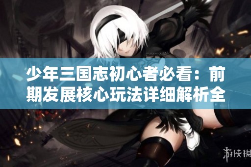 少年三國志初心者必看：前期發(fā)展核心玩法詳細解析全攻略
