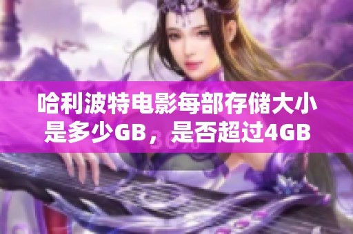 哈利波特電影每部存儲大小是多少GB，是否超過4GB呢