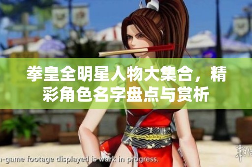 拳皇全明星人物大集合,精彩角色名字盤點(diǎn)與賞析 拳皇全明星人物大集合,精彩角色名字盤點(diǎn)與賞析