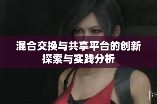 混合交換與共享平臺(tái)的創(chuàng)新探索與實(shí)踐分析