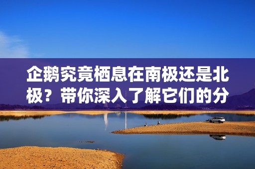 企鵝究竟棲息在南極還是北極？帶你深入了解它們的分布地帶