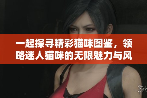 一起探尋精彩貓咪圖鑒，領(lǐng)略迷人貓咪的無限魅力與風(fēng)采