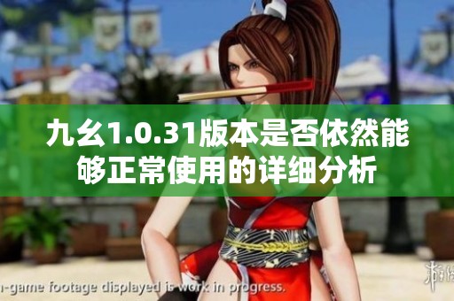 九幺1.0.31版本是否依然能夠正常使用的詳細分析