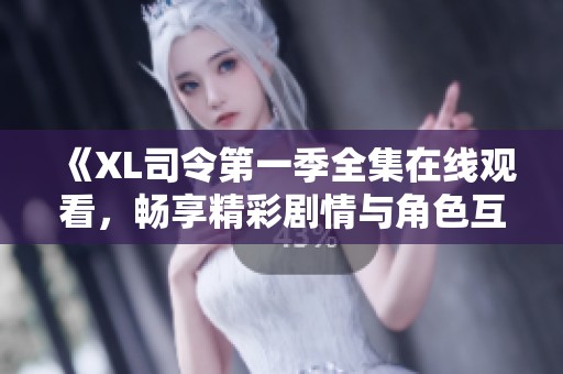 《XL司令第一季全集在線觀看，暢享精彩劇情與角色互動(dòng)》