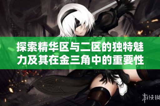探索精華區(qū)與二區(qū)的獨特魅力及其在金三角中的重要性
