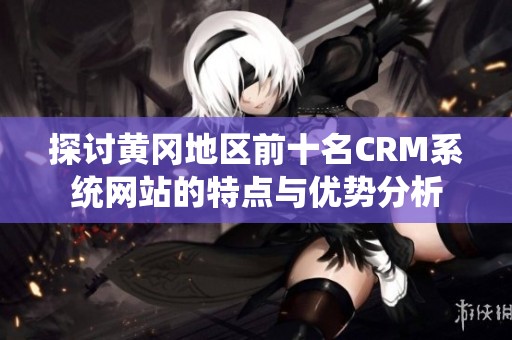 探討黃岡地區(qū)前十名CRM系統(tǒng)網(wǎng)站的特點與優(yōu)勢分析
