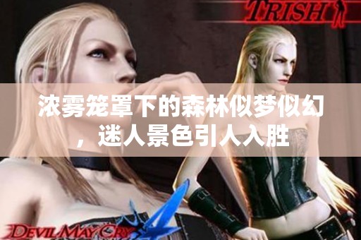 濃霧籠罩下的森林似夢似幻，迷人景色引人入勝