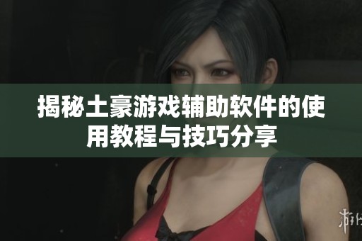 揭秘土豪游戲輔助軟件的使用教程與技巧分享